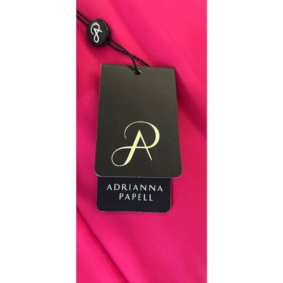 NWT Adrianna Papell Sz 8 Chiffon Lace Overlay Fit N Flare Dk Pink Zip Drop Waist - Picture 8 of 16